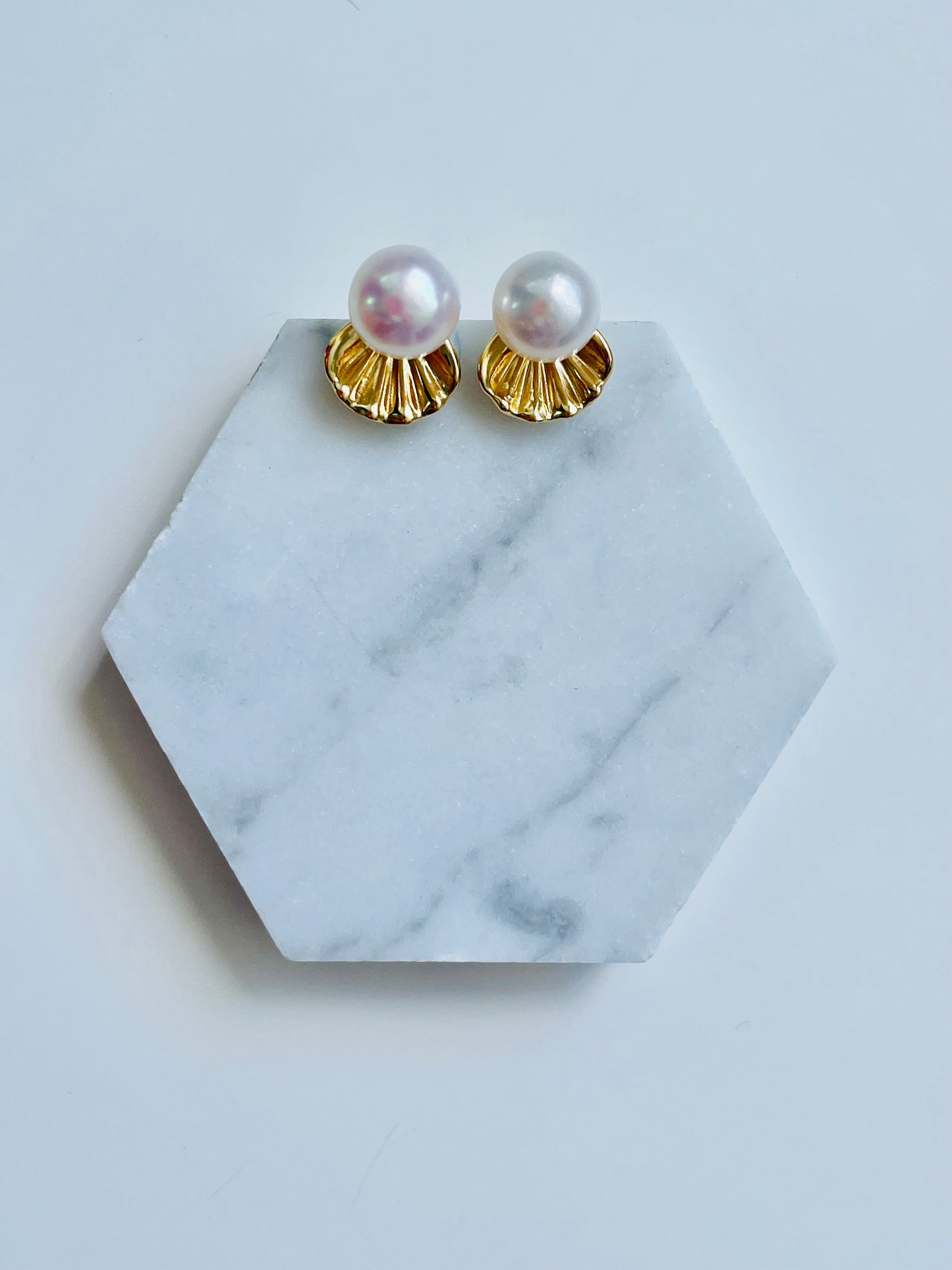 Dainty Shell Studs