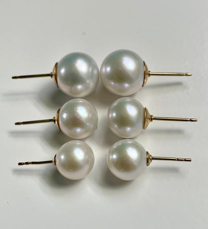 Classic Pearl Studs