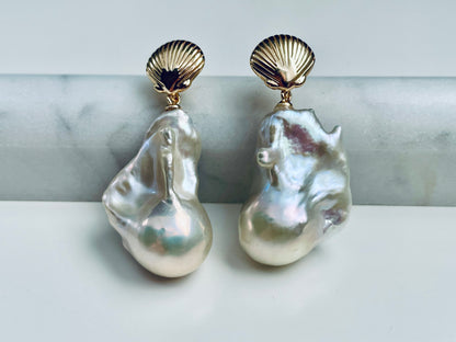Mermaid Shells