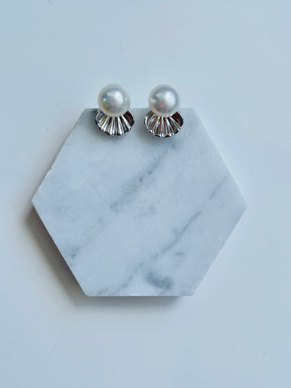 Dainty Shell Studs