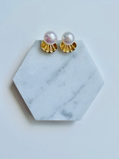 Dainty Shell Studs